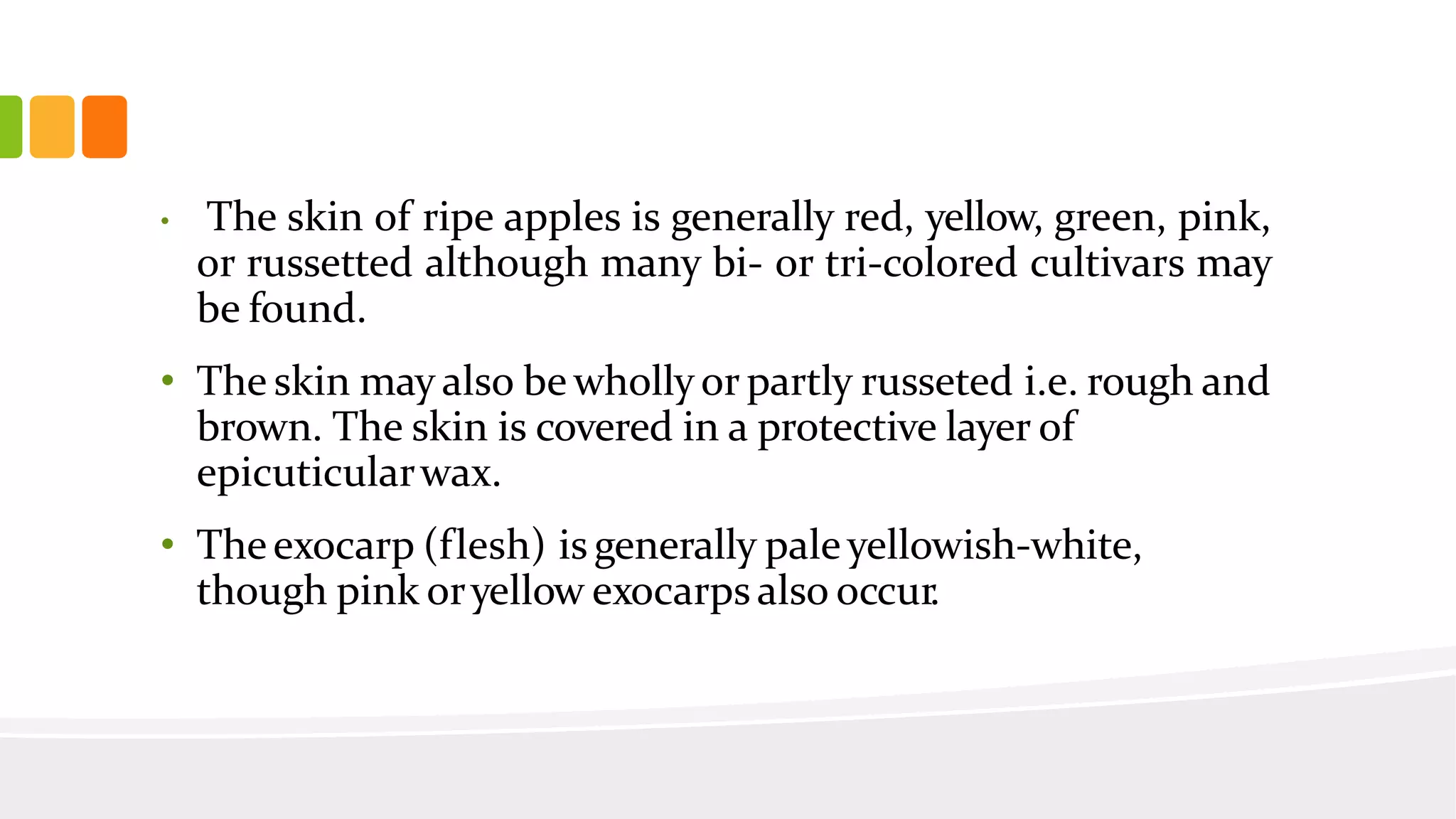 Slide 20