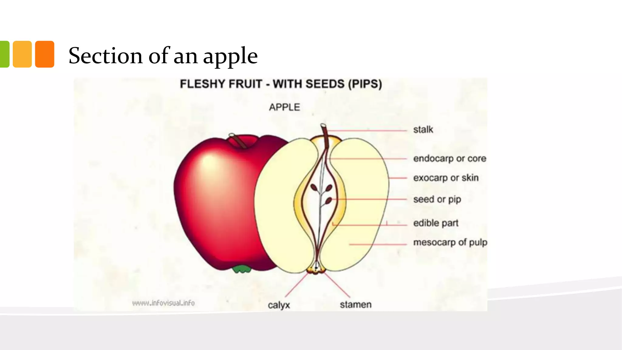 Slide 23