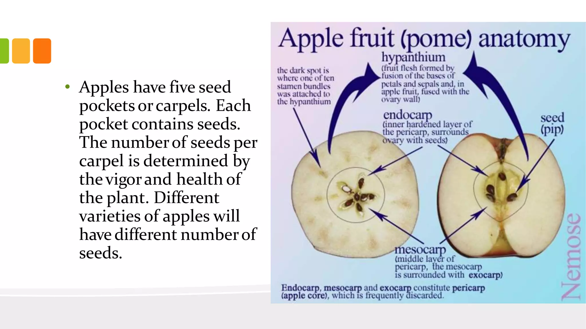 Slide 24