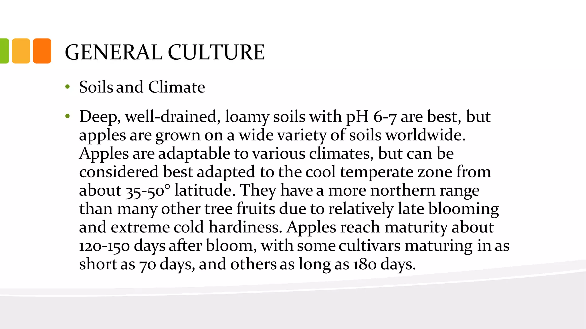 Slide 26