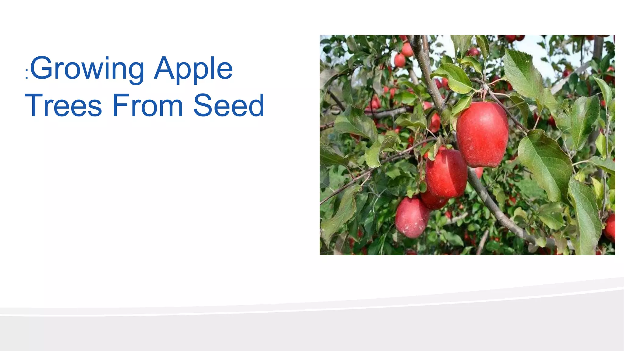 Slide 29