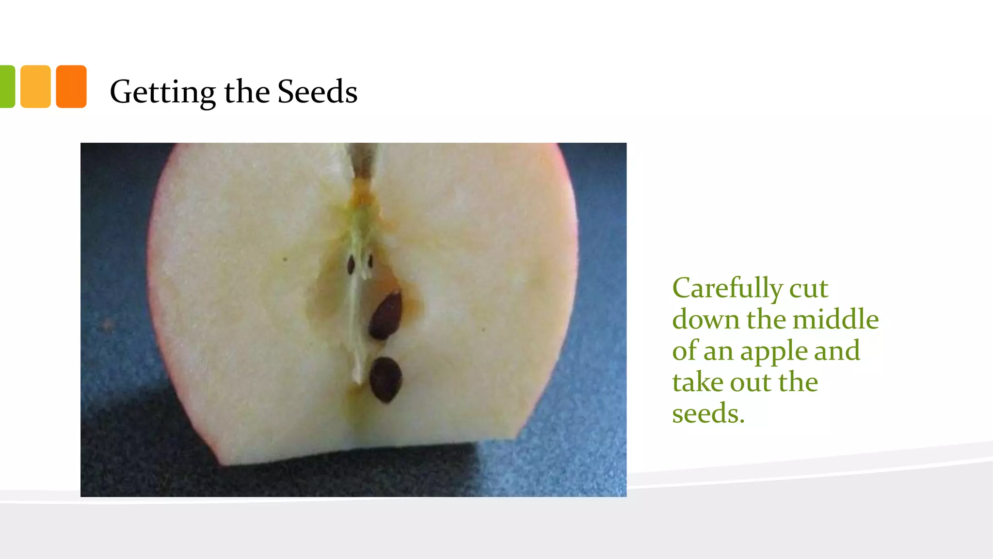 Slide 30