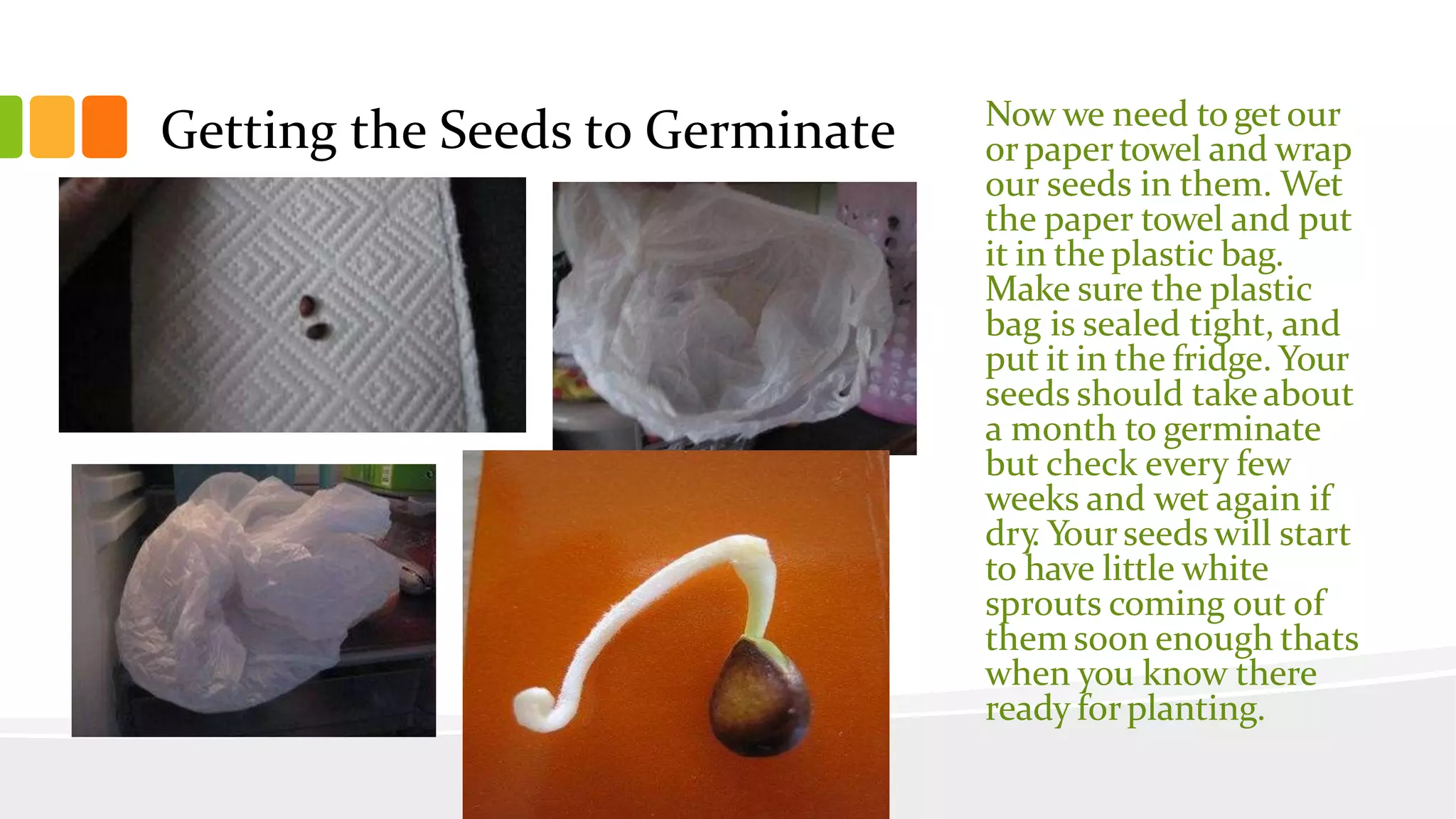 Slide 31