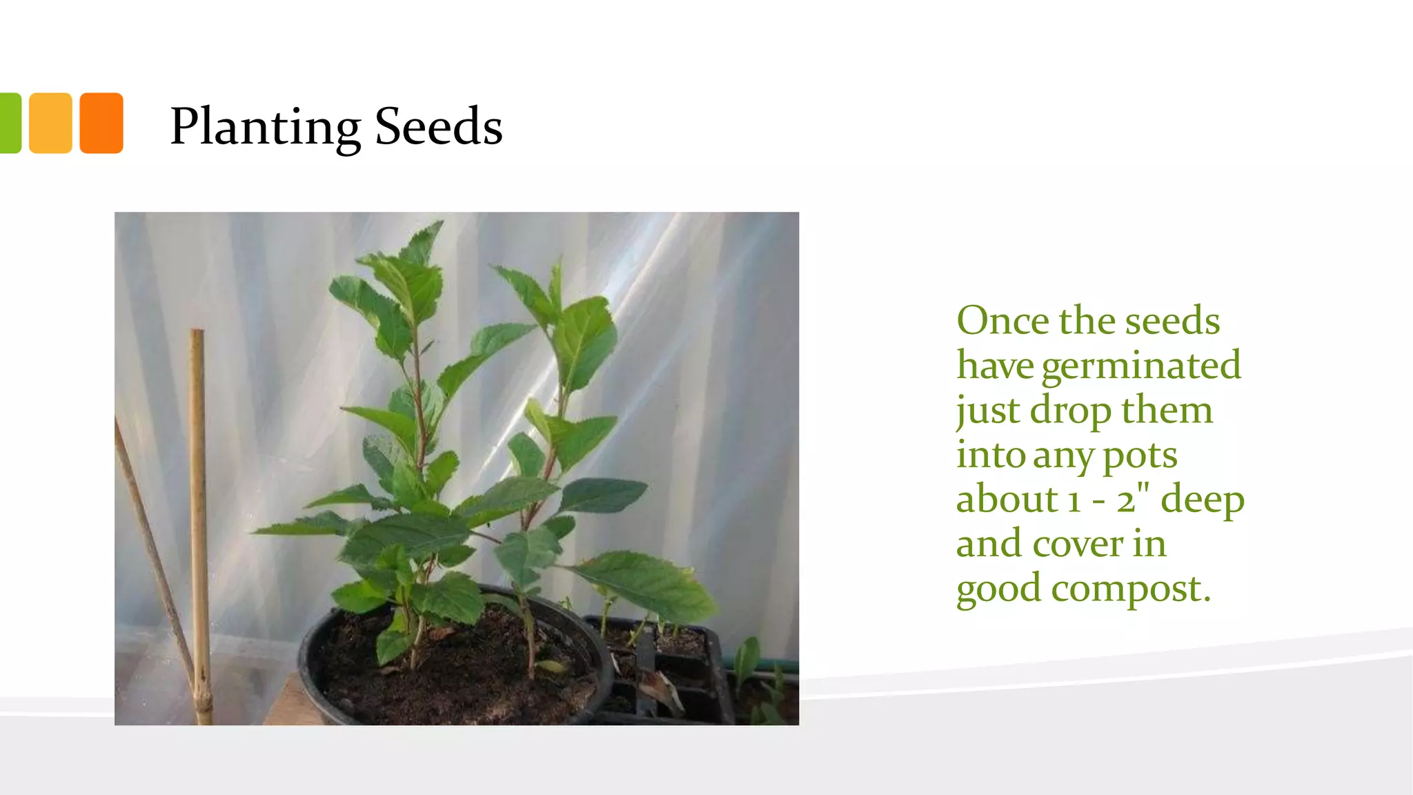 Slide 32