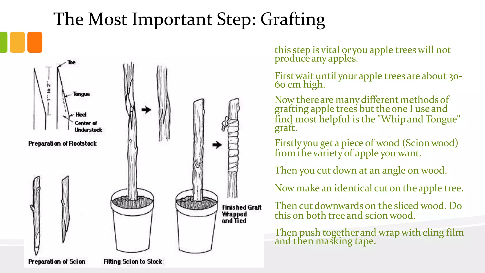 Slide 33