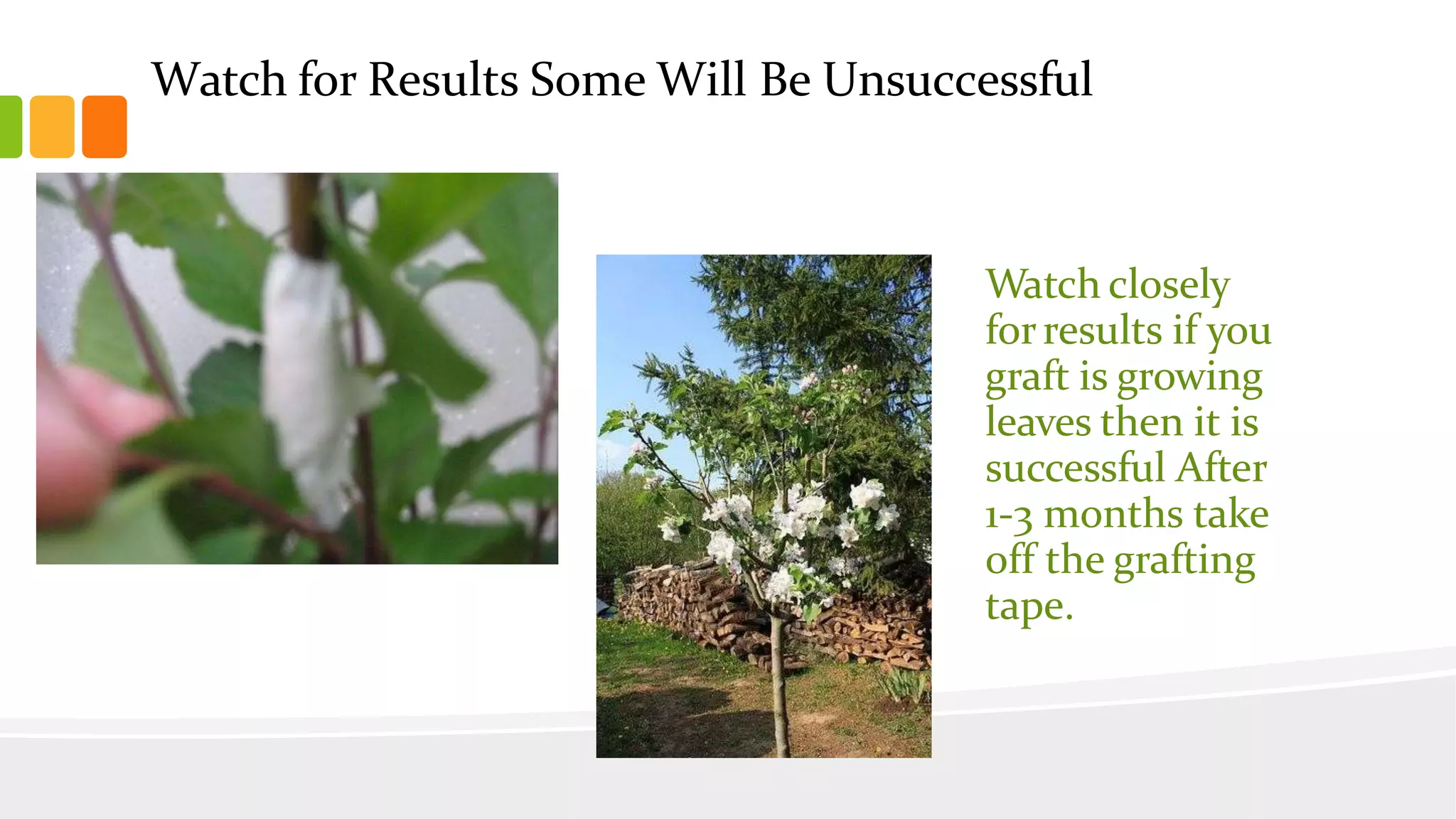 Slide 34