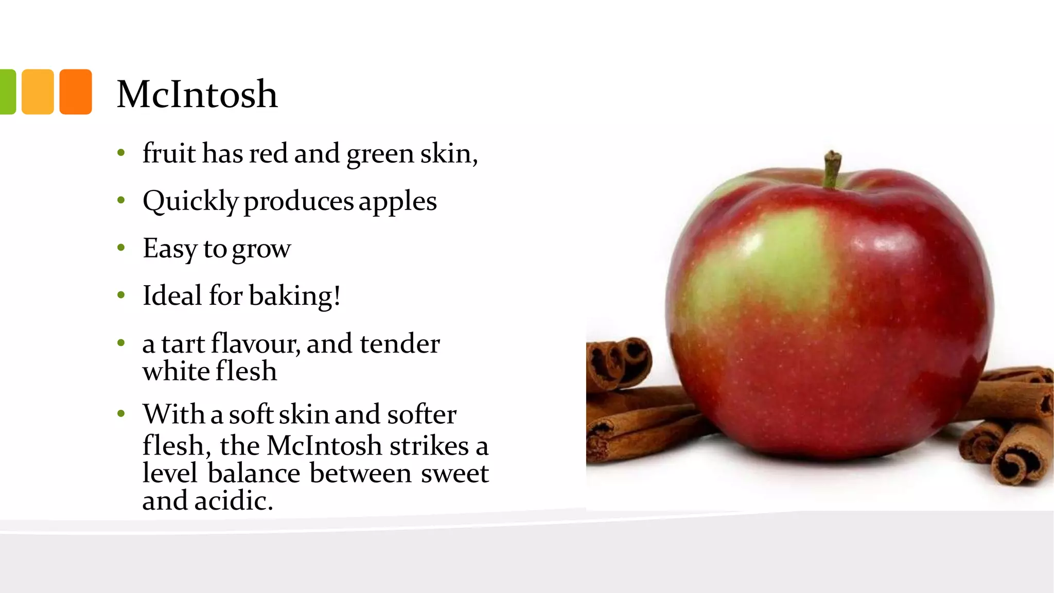 Slide 37