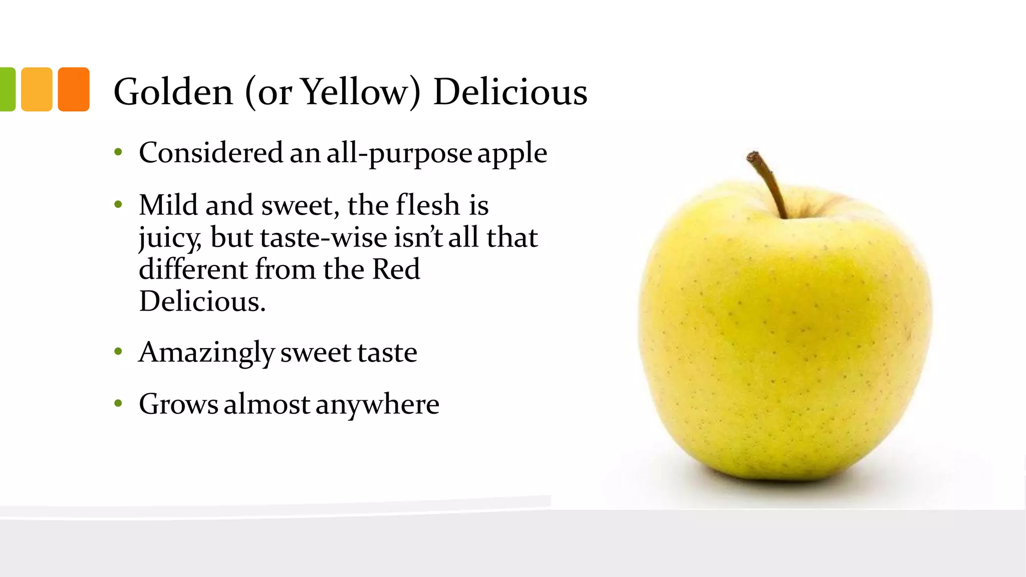 Slide 38