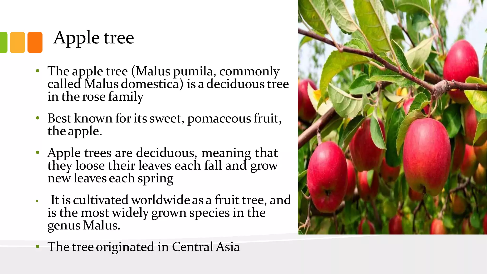 Slide 3