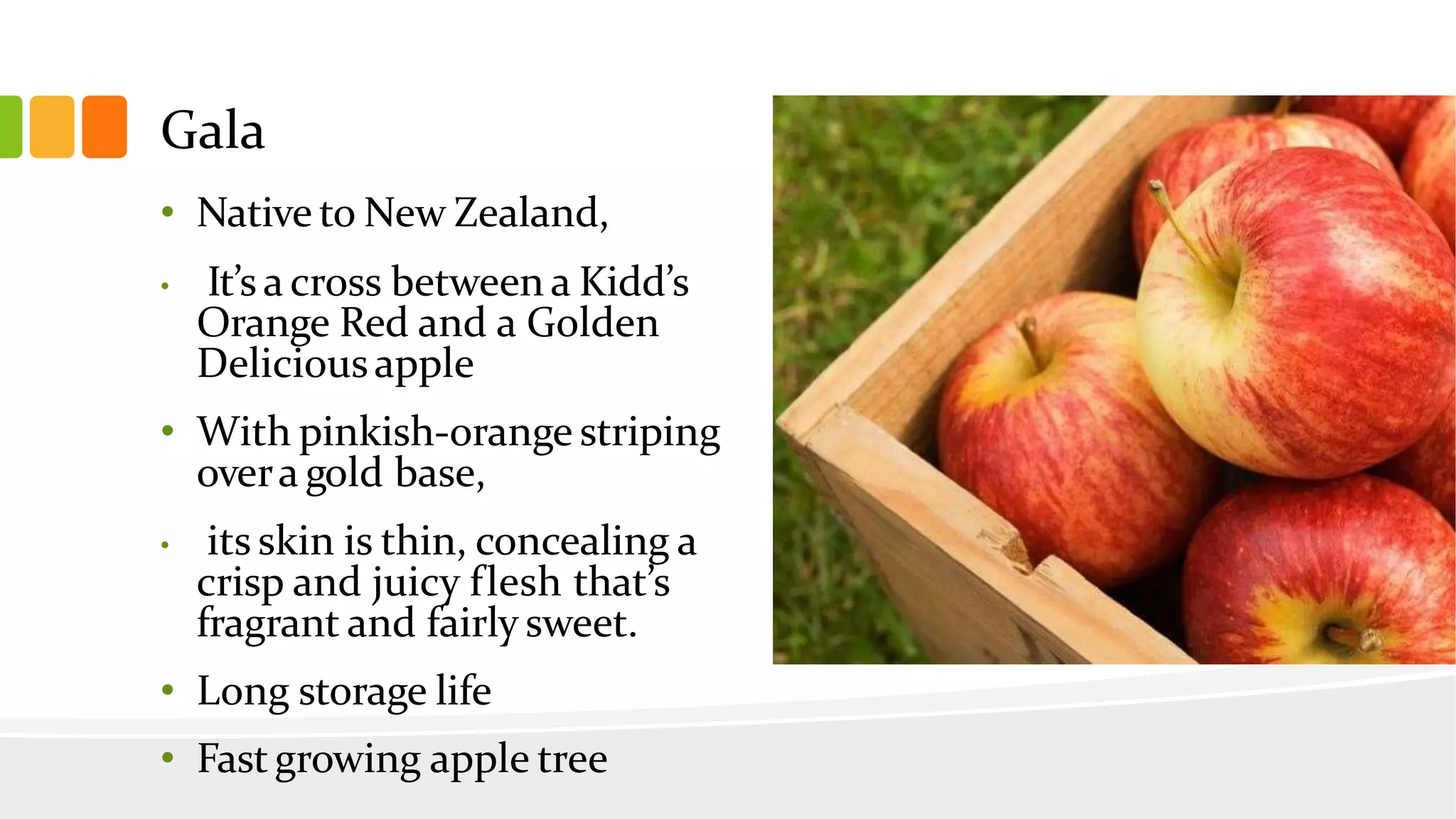 Slide 39