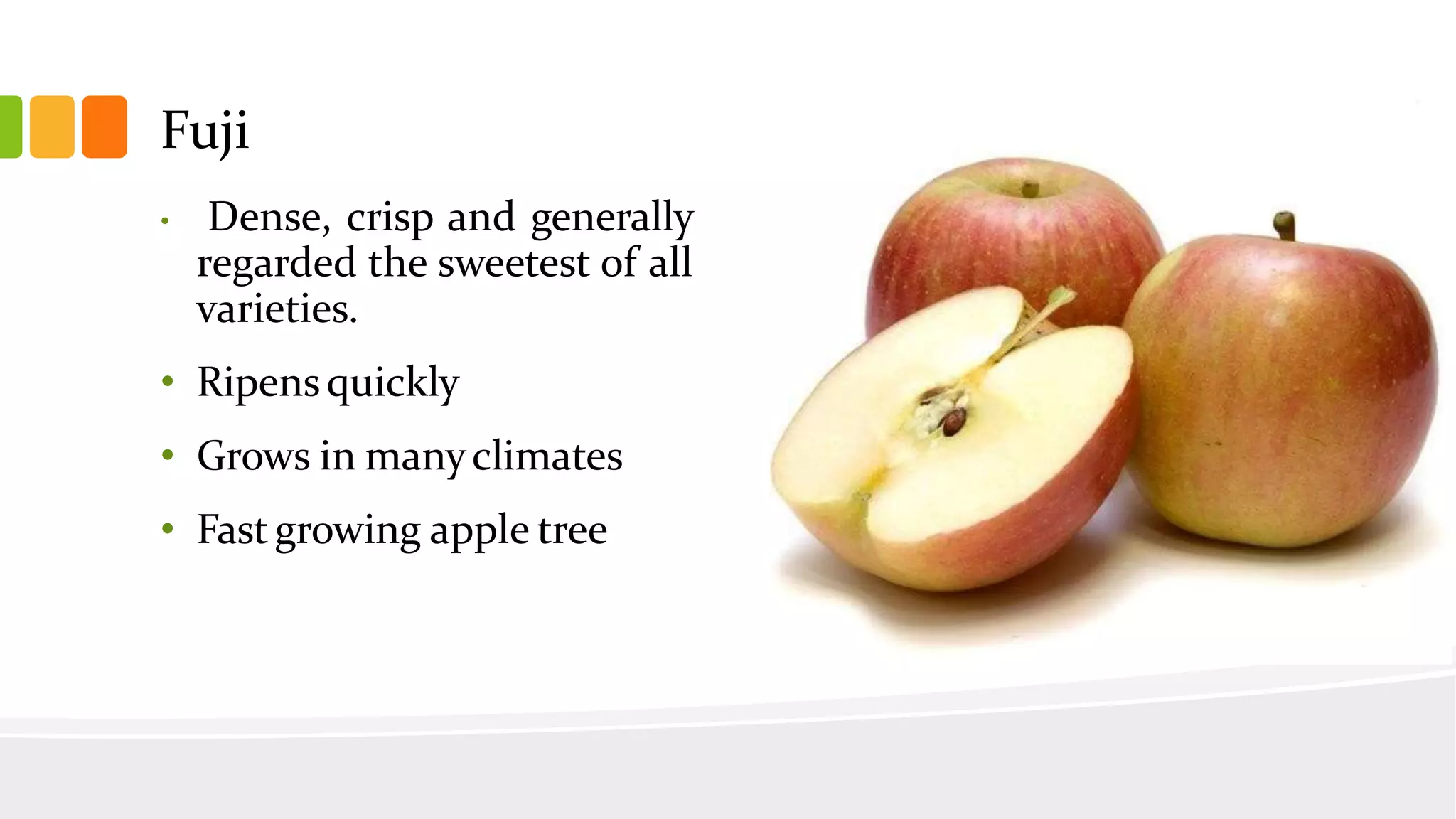 Slide 41