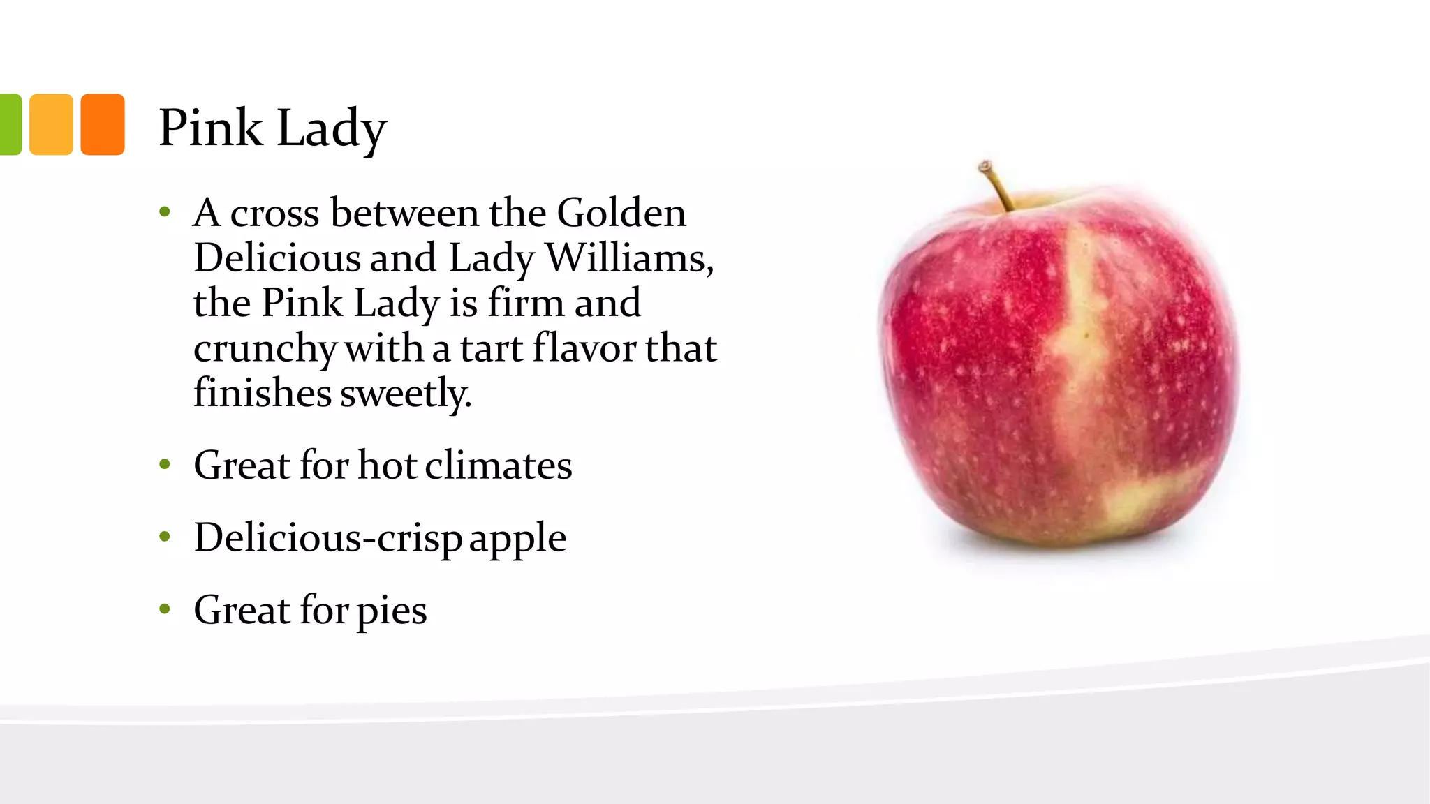 Slide 43